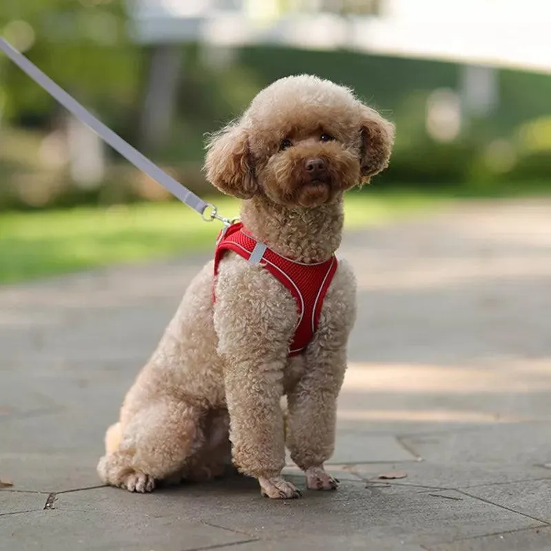 Adjustable Small Breed Dog Harness Set: Reflective Vest for Safe Outdoor Walks
