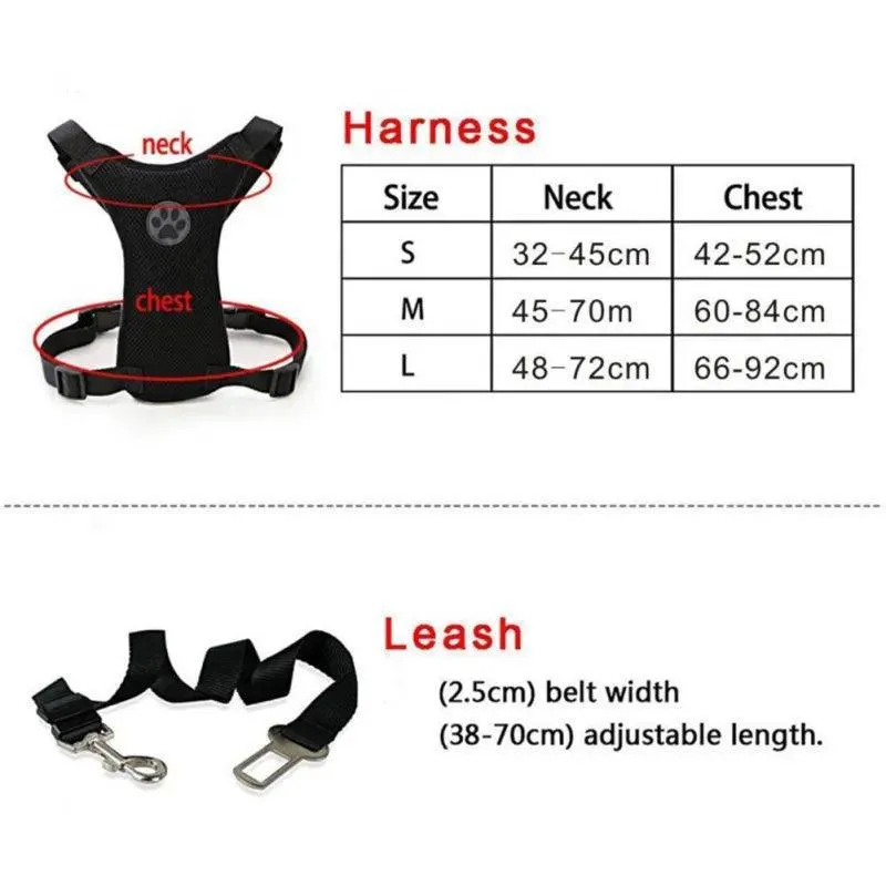 Adventure Dog Harness Leash Set: Outdoor Safety Upgrade