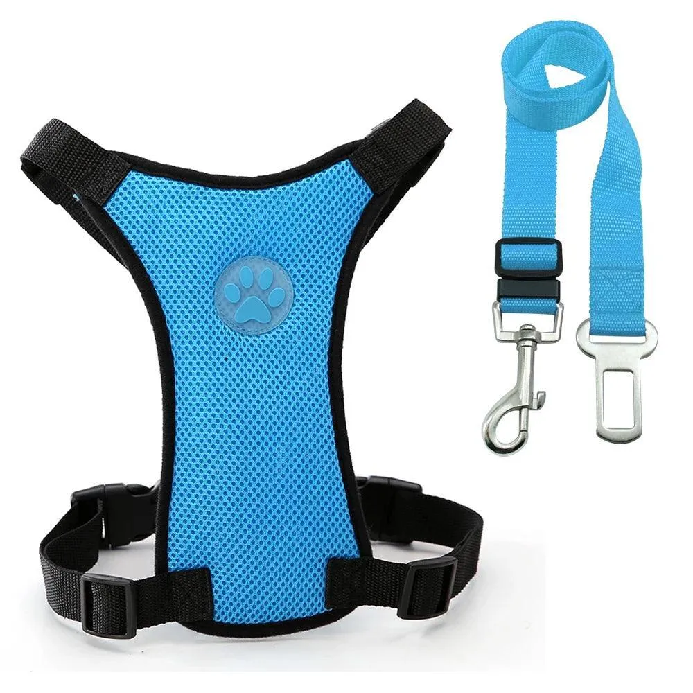 Adventure Dog Harness Leash Set: Outdoor Safety Upgrade