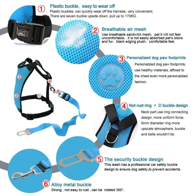 Adventure Dog Harness Leash Set: Outdoor Safety Upgrade