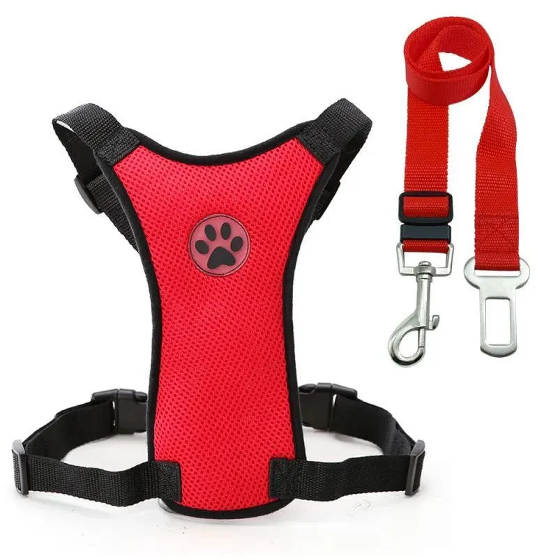 Adventure Dog Harness Leash Set: Outdoor Safety Upgrade
