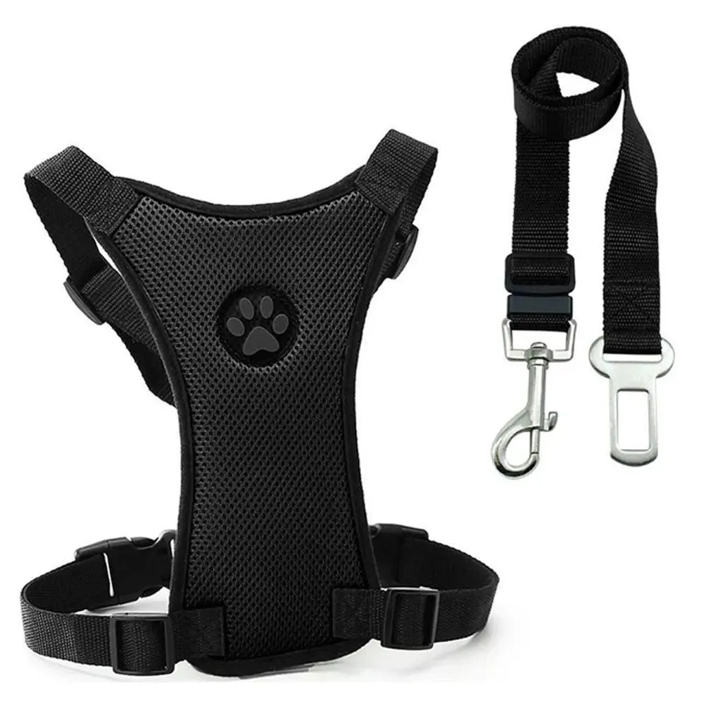 Adventure Dog Harness Leash Set: Outdoor Safety Upgrade