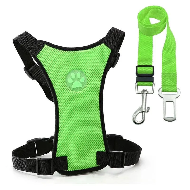 Adventure Dog Harness Leash Set: Outdoor Safety Upgrade