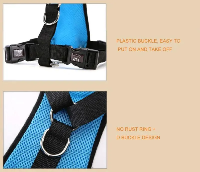 Adventure Dog Harness Leash Set: Outdoor Safety Upgrade