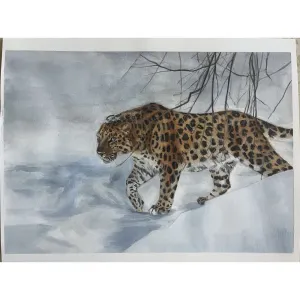 Amur Leopard