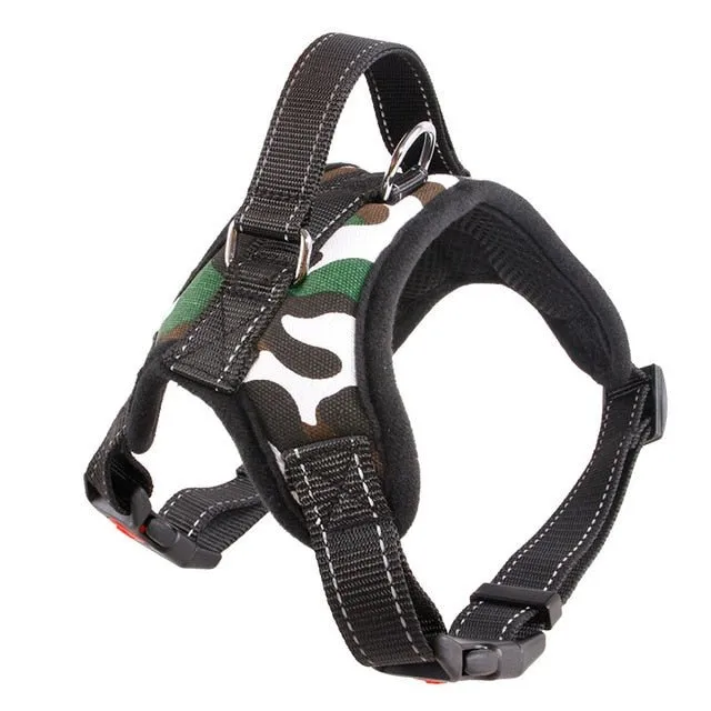 Breathable Adjustable Dog Harness: Perfect Fit for Small, Medium & Large Dogs!