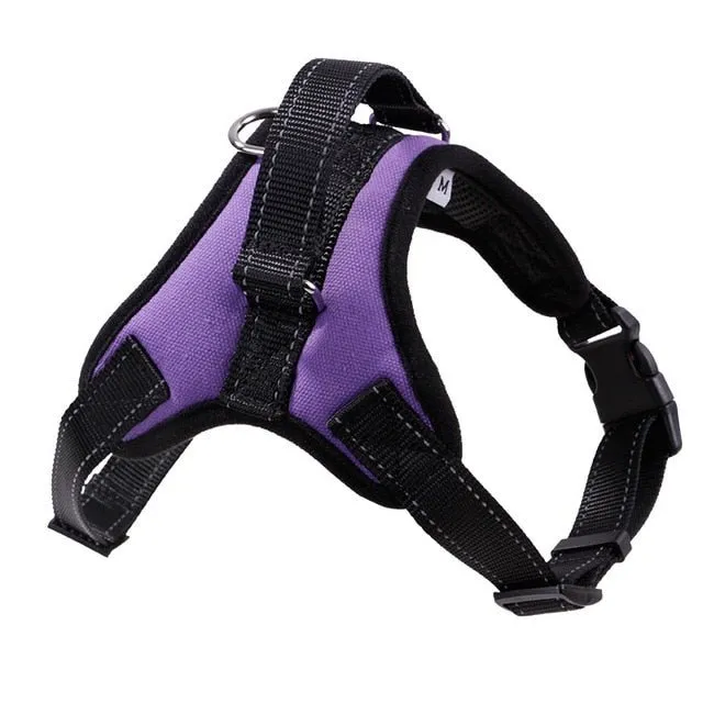 Breathable Adjustable Dog Harness: Perfect Fit for Small, Medium & Large Dogs!