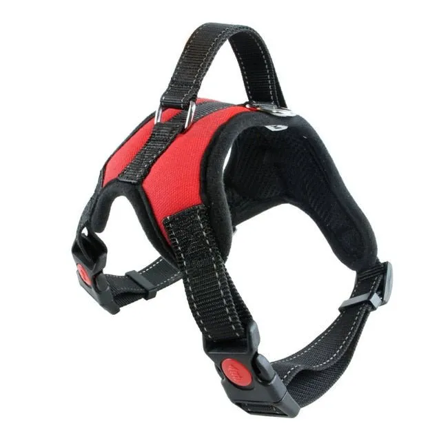 Breathable Adjustable Dog Harness: Perfect Fit for Small, Medium & Large Dogs!