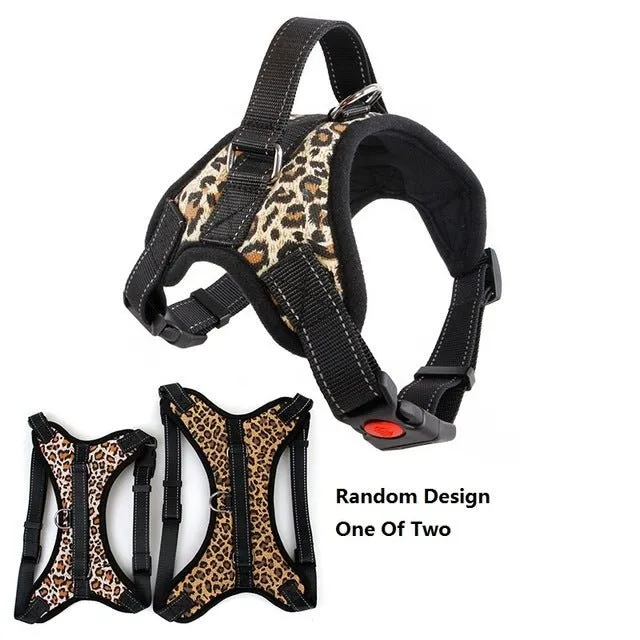 Breathable Adjustable Dog Harness: Perfect Fit for Small, Medium & Large Dogs!