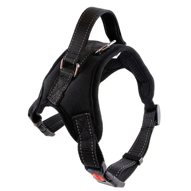 Breathable Adjustable Dog Harness: Perfect Fit for Small, Medium & Large Dogs!