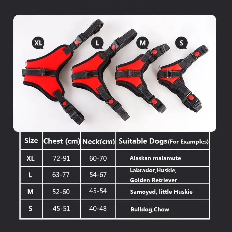 Breathable Adjustable Dog Harness: Perfect Fit for Small, Medium & Large Dogs!