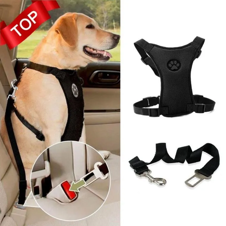 Breathable Dog Car Harness with Seatbelt Leash: Safe and Comfortable Travel for Your Pup!
