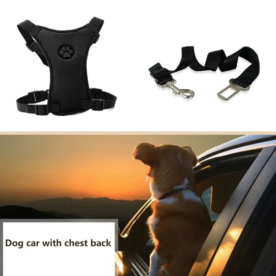 Breathable Dog Car Harness with Seatbelt Leash: Safe and Comfortable Travel for Your Pup!