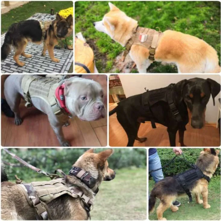 Command Control: Dog Military Harness with Handle!