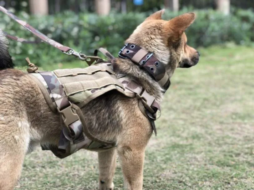 Command Control: Dog Military Harness with Handle!