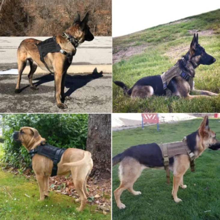 Command Control: Dog Military Harness with Handle!