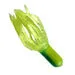 Crappie Magnum Tube 2.0"