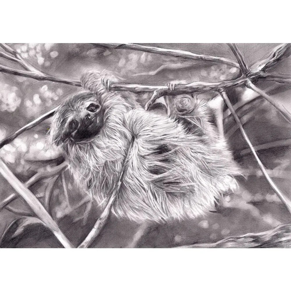 Edge of Extinction: Pygmy Three-toed Sloth