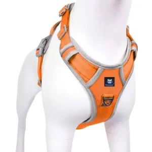 Hank 3M Reflective Harness for Puller Dogs (Grey/Orange)