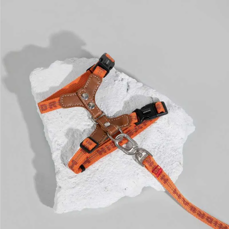 HiDREAM Adventure-Ready Button-On Cat Harness Leash