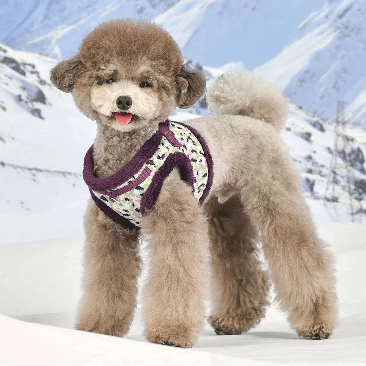 Huxley Dog Harness B