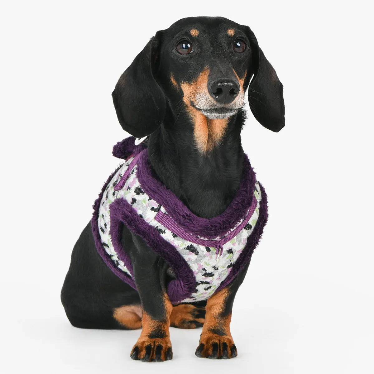 Huxley Dog Harness B