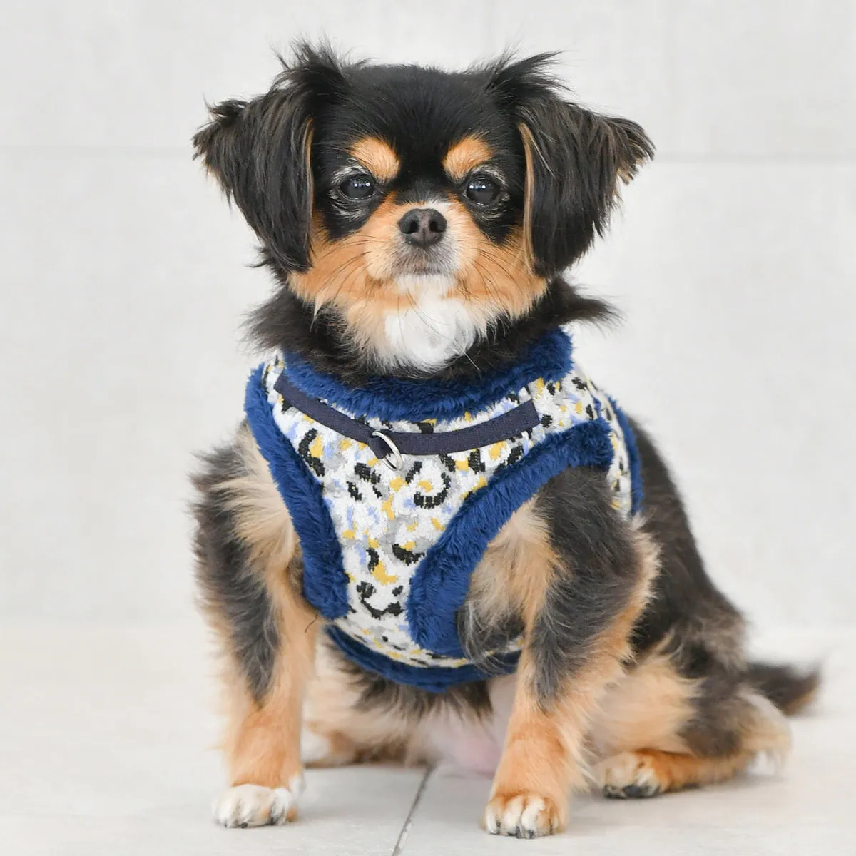 Huxley Dog Harness B