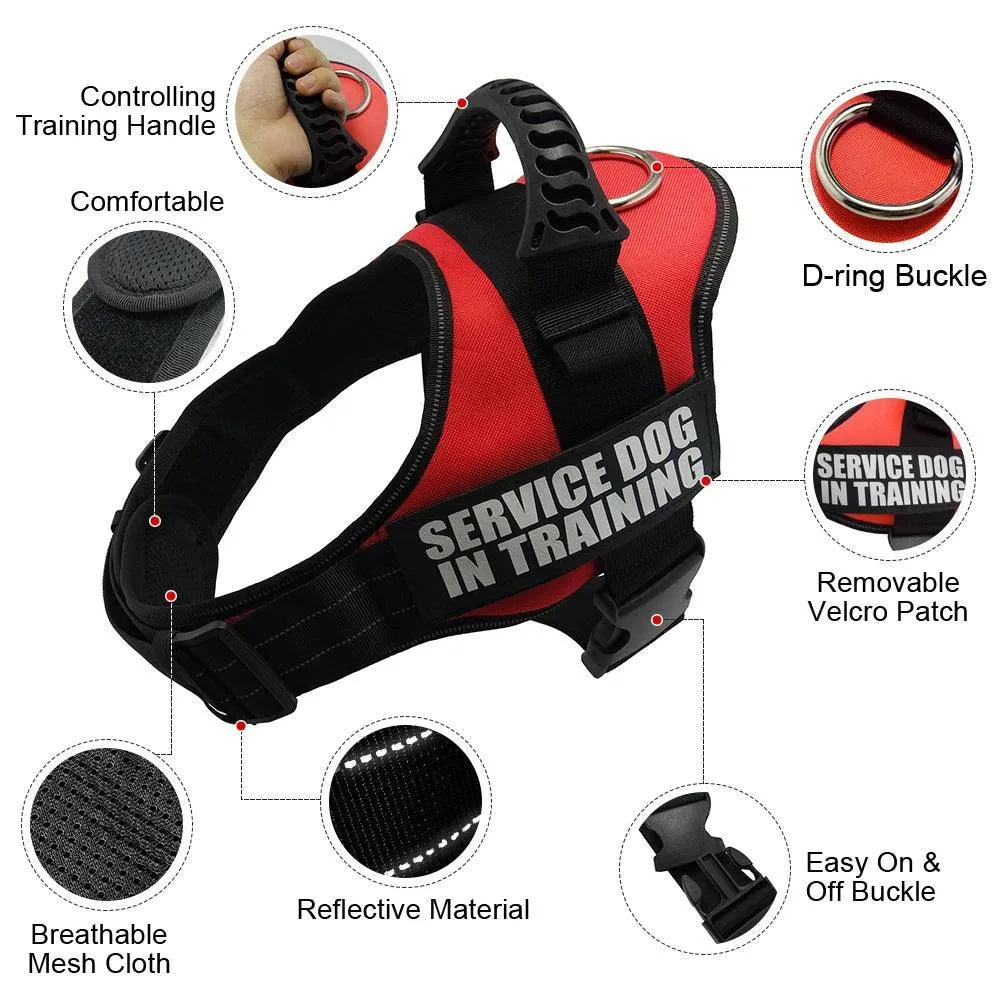 Nylon K9 Reflective Dog Harness: Personalized Safety Gear for All Sizes