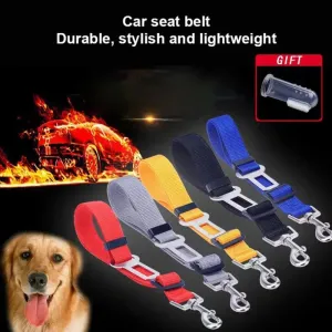 Pet Safety Harness: Secure Travel Leash for Cats and Dogs