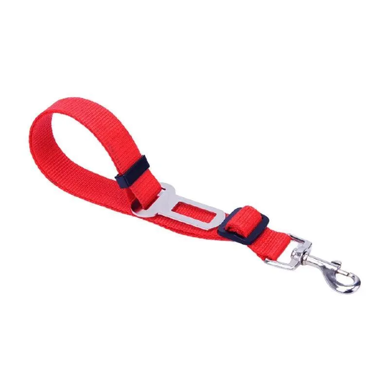 Pet Safety Harness: Secure Travel Leash for Cats and Dogs