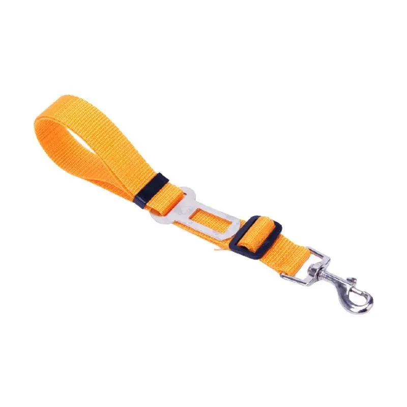 Pet Safety Harness: Secure Travel Leash for Cats and Dogs