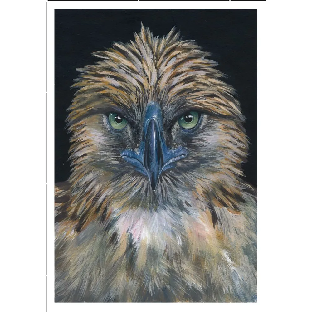 Philippine Eagle