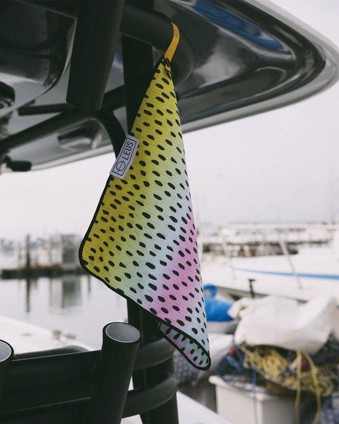 Rainbow Trout