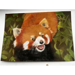 Red panda