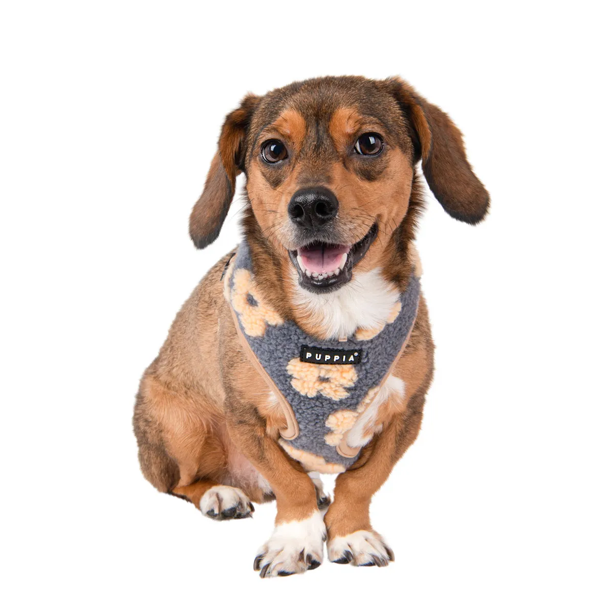 Ren Dog Harness A