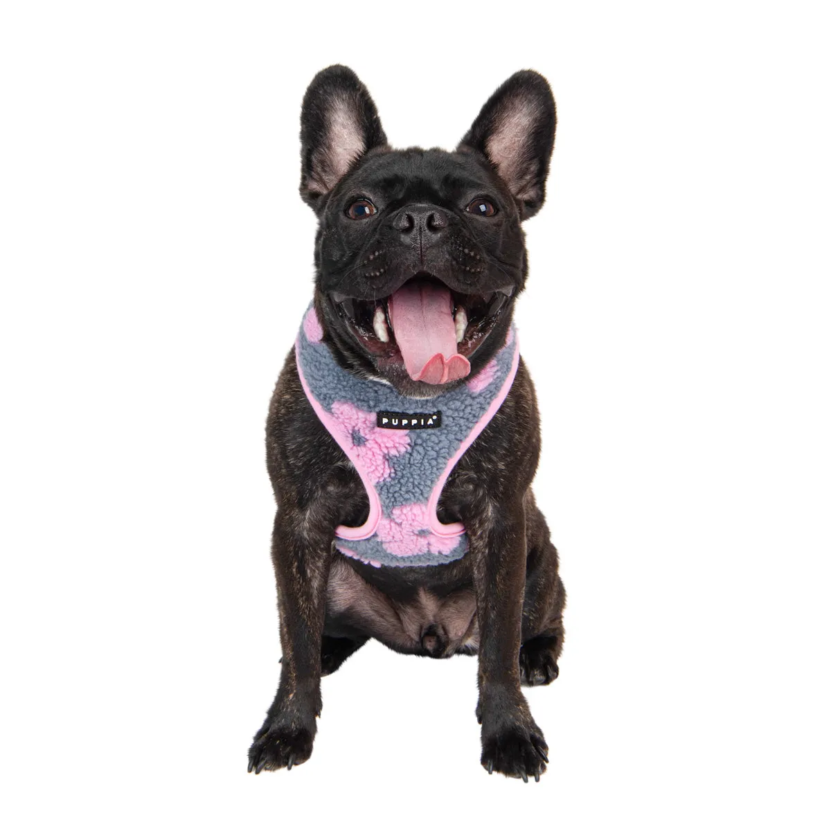 Ren Dog Harness A