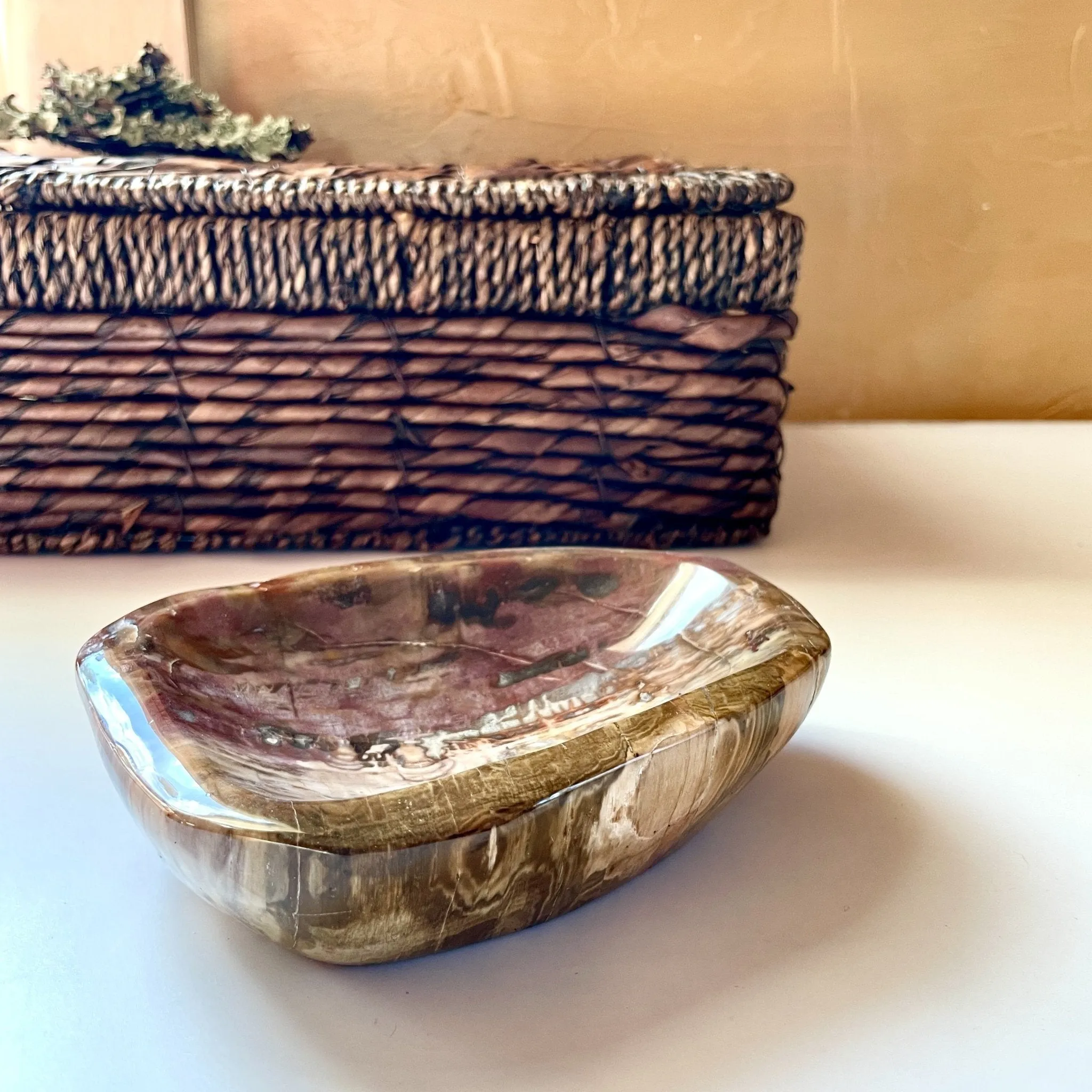 Ridge line Petrified Wood Bowl