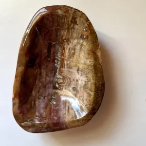 Ridge line Petrified Wood Bowl