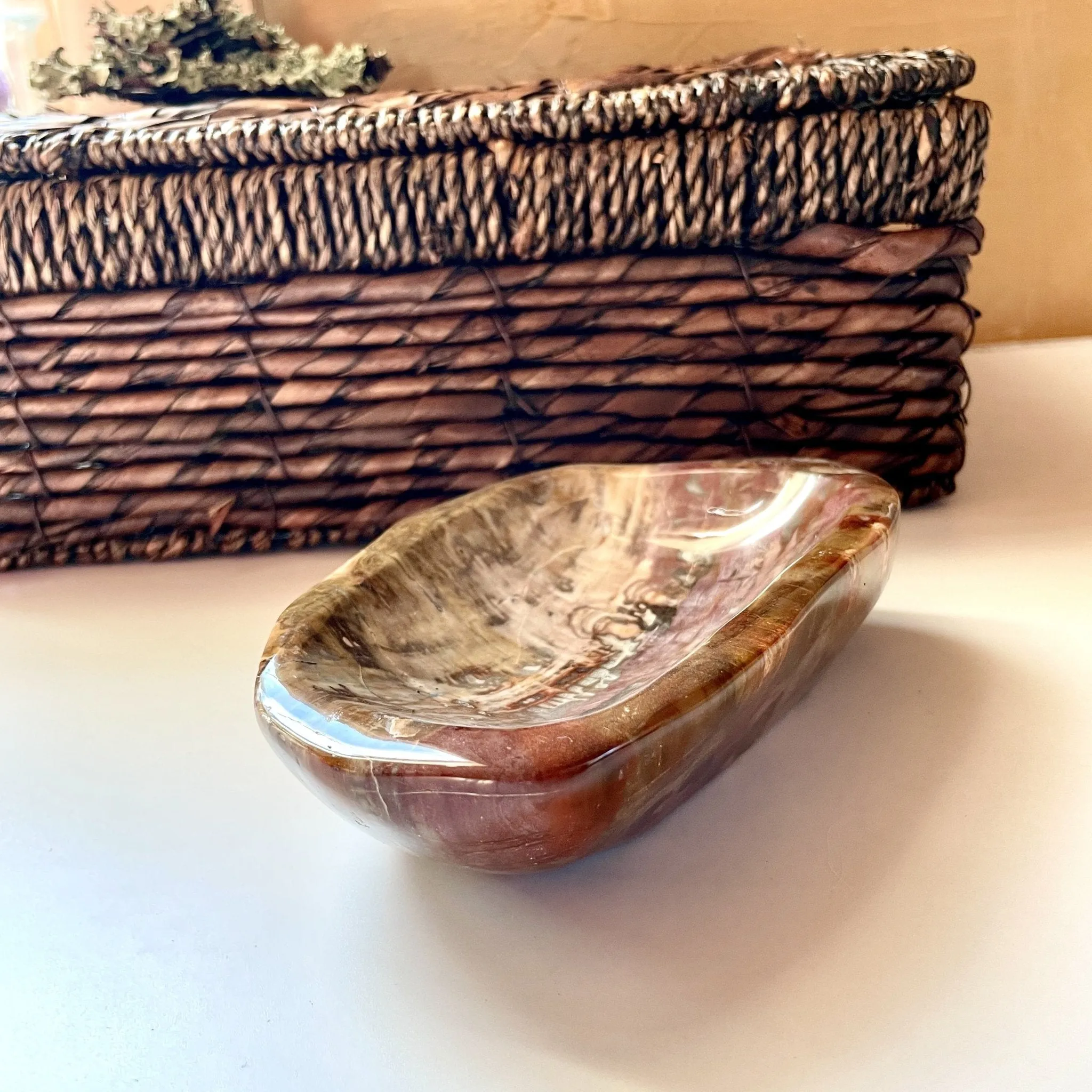 Ridge line Petrified Wood Bowl