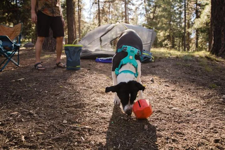 Ruffwear Front Range™ Padded Dog Harness (Red Clay)