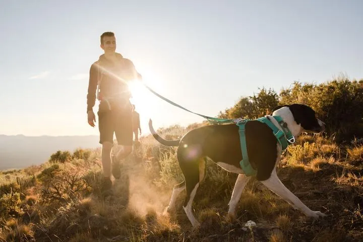 Ruffwear Front Range™ Padded Dog Harness (Red Clay)