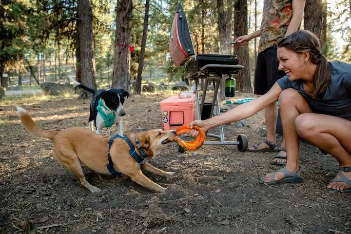 Ruffwear Front Range™ Padded Dog Harness (Red Clay)