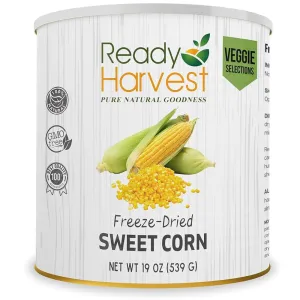 Sweet Corn Freeze Dried