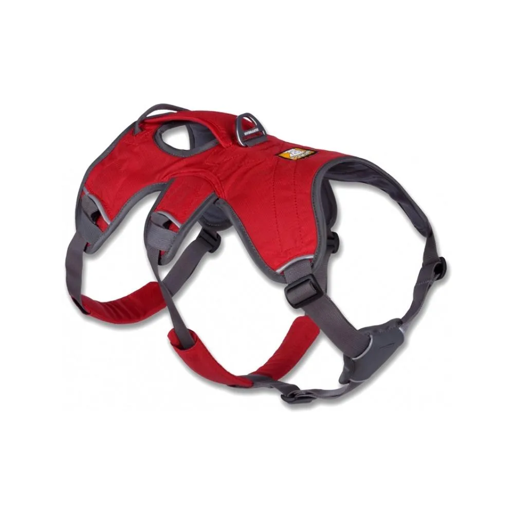 Web Master Dog Harness