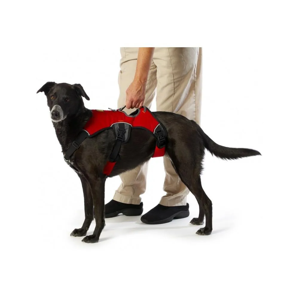 Web Master Dog Harness