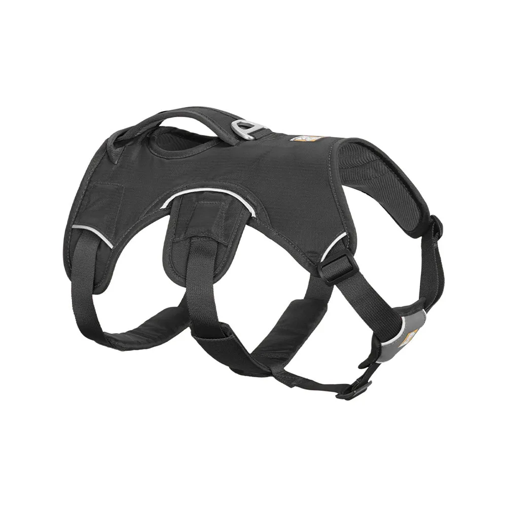 Web Master Dog Harness