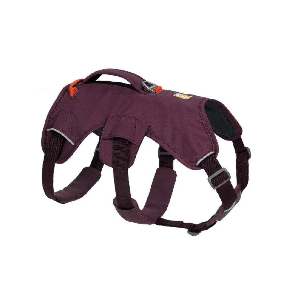Web Master Dog Harness